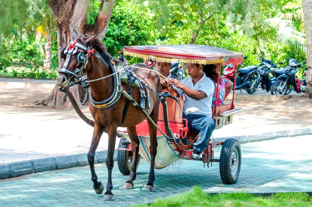 Bintan Agro Beach Resort & Spa Teluk Bakau Ngoại thất bức ảnh
